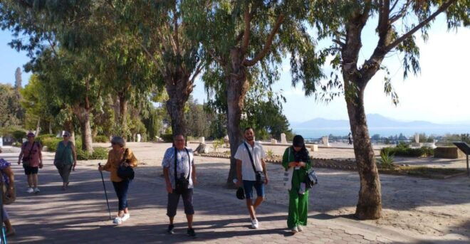 Tunisia Tour 8 Days - Pickup and Transportation