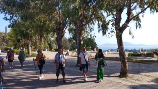 Tunisia Tour 8 Days - Days 5-8: Relaxation and Adventure Activities