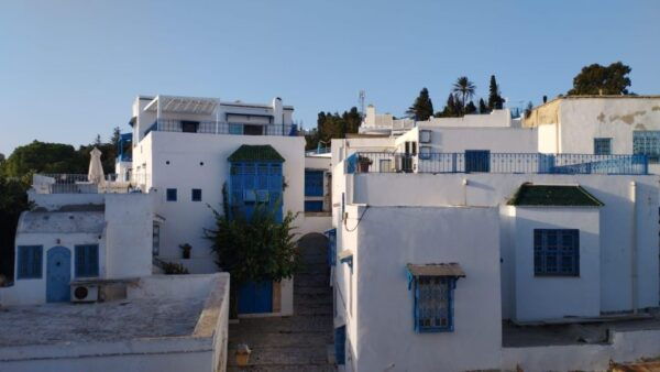 Tunisia Tour 8 Days - Common Questions