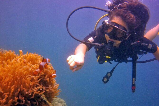 Tunku Abdul Rahman Marine Park Leisure Diving from Kota Kinabalu - Practical Details: Timing, Equipment, and Tips