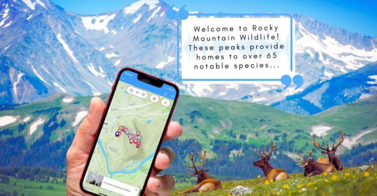 Tunnel Mountain Trail: Nature Tour With Audio Guide - Experience Highlights
