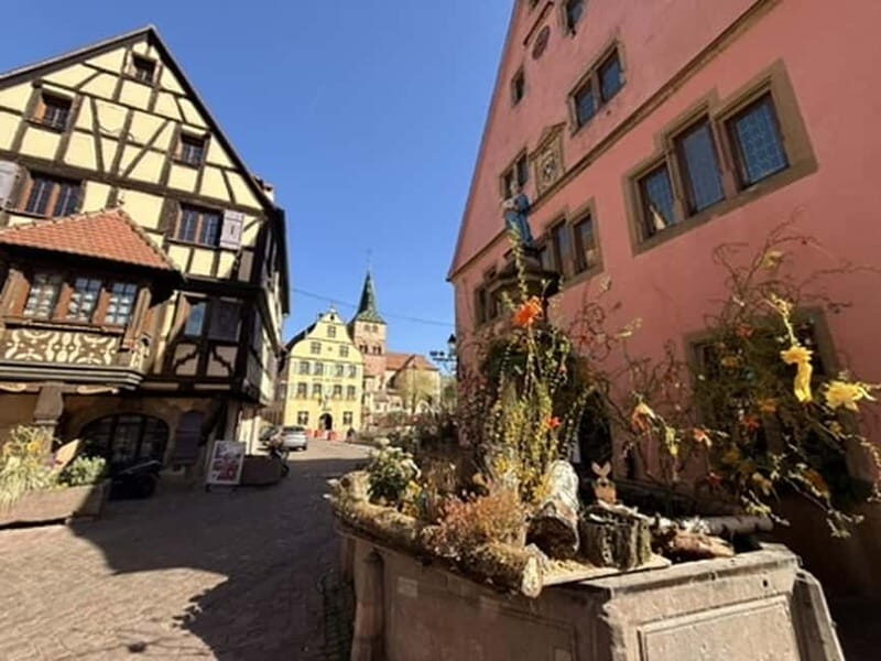 Turckheim: the town where the dragon sleeps, walking tour - What to Expect from the Tour