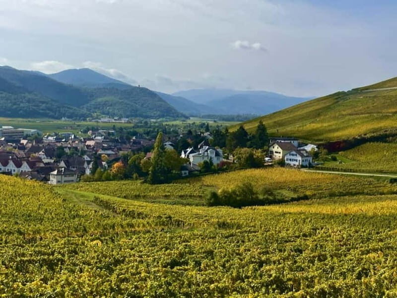 Turckheim: the town where the dragon sleeps, walking tour - Why You Should Choose This Tour