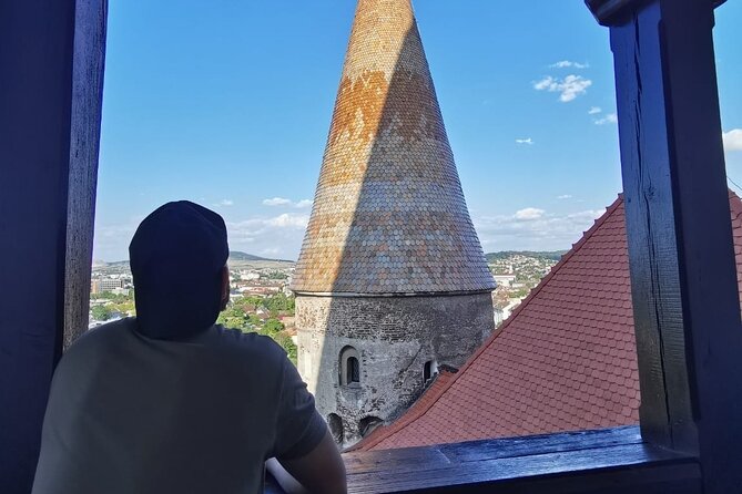 Turda Salt Mine, Corvin Castle and Alba Fortress From Cluj - Visitor Feedback
