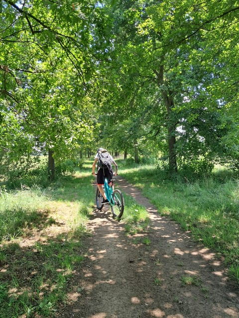 Turin: E-Bike Tour, Venaria Reale, Royal Gardens, Castle - Highlights of Venaria Reale
