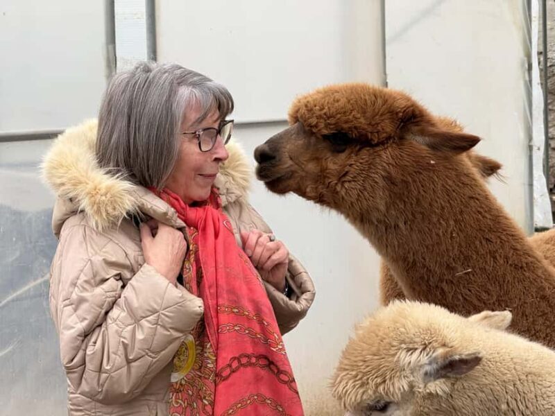 Turin: Encounter with Alpacas on an Educational Farm with a Tour Guide - Practical Details for Visitors