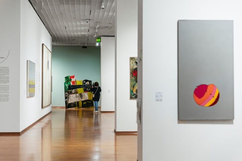 Turin: Gallery of Modern and Contemporary Art Entry Ticket - What to Expect at GAM in Turin