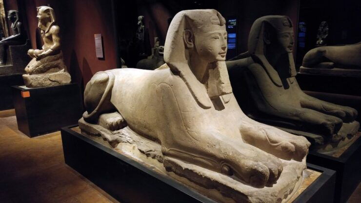 Turin: Guided Egyptian Museum Tour - Tour Highlights