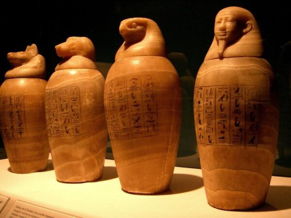 Turin: Guided Egyptian Museum Tour - Common Questions