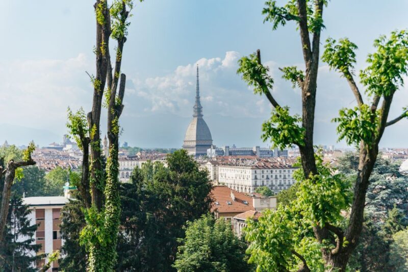 Turin: Hop-on Hop-off Bus Tour with 24 or 48-Hour Ticket - Introduction