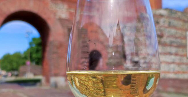 Turin in an Original Tour for Curious People and Wine Lovers - Key Tour Features