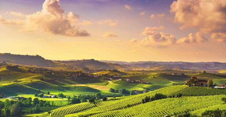 Turin: Langhe Wine Tour With Private Transfers and Lunch - Good To Know