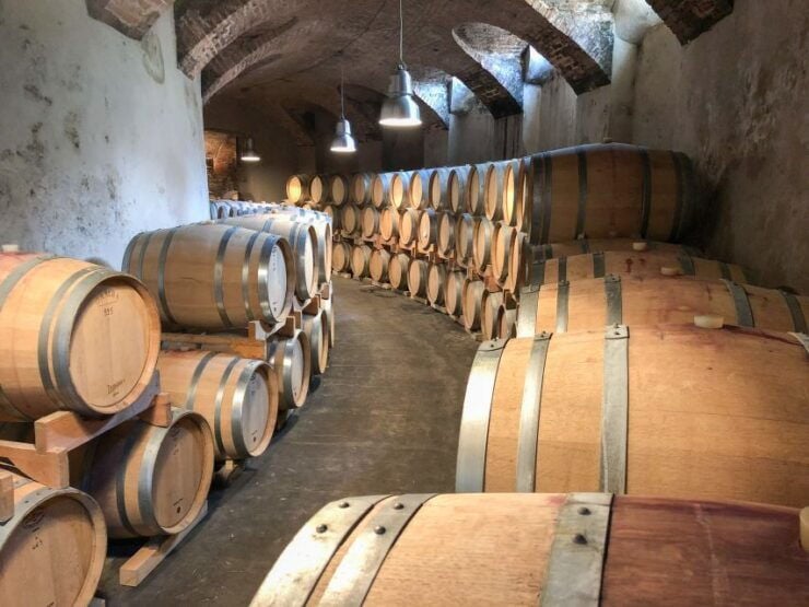 Turin: Langhe Wine Tour With Private Transfers and Lunch - Tour Overview