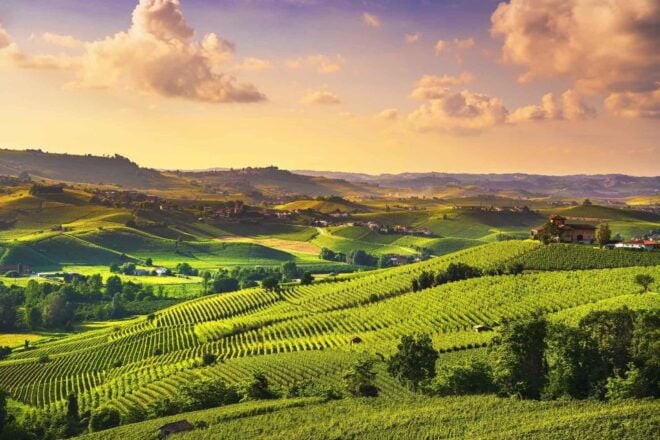 Turin: Langhe Wine Tour With Private Transfers and Lunch - Activities Included