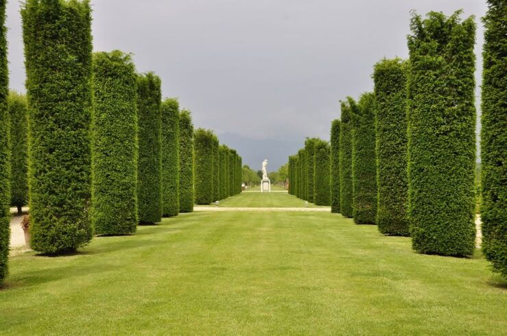 Turin: Palace of Venaria Guided Tour - Booking Details