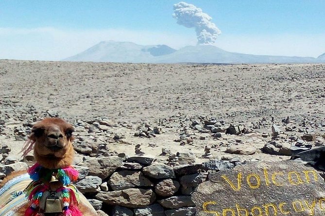 Turist Bus Colca Canyon (Chivay) To Puno - Transportation and Amenities