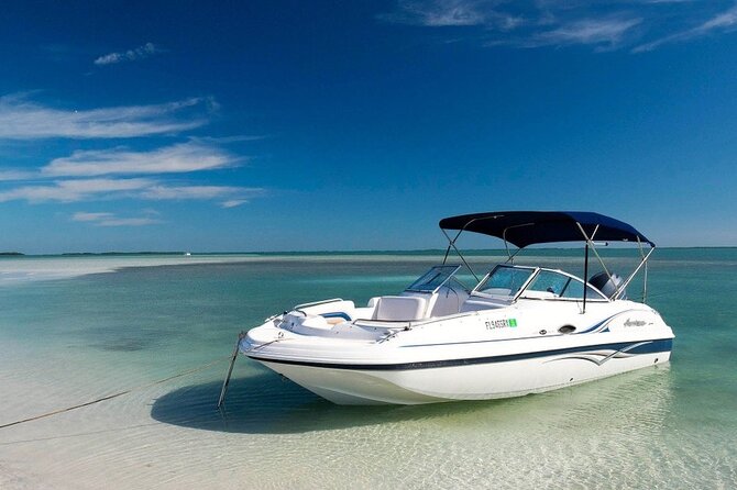 Turks and Caicos Private Half-Day Boat Tour - Tour Details