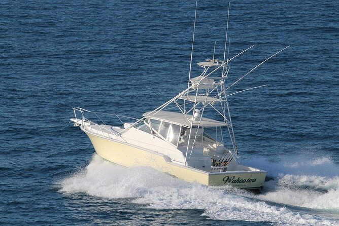 Turks and Caicos Private Half-Day Deep Sea Fishing Tour  - Providenciales - The Sum Up