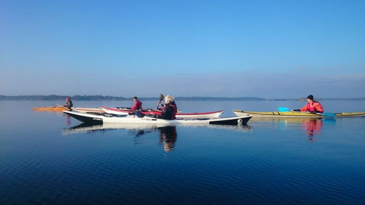 Turku Archipelago: Sea Kayaking Day Tour - Experience Highlights