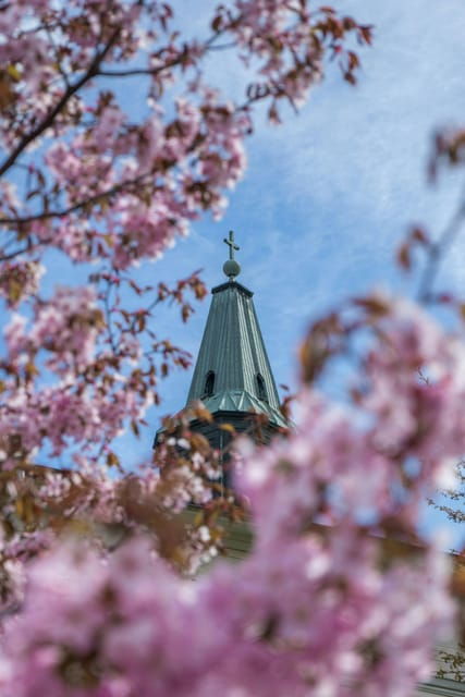 Turku: Private Guided Tour - Inclusions and Exclusions