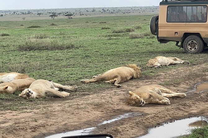 Turn on Village Water Taps With Luxury Safari-Exclusive Experienc - Pickup Information