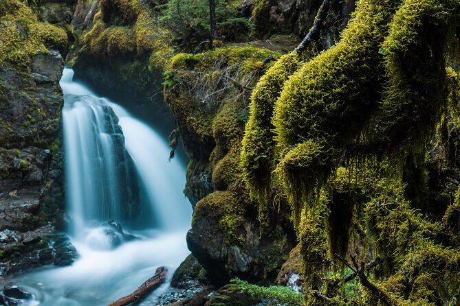 Turnagain Arm Highlights Photo Tour - Exploring the Turnagain Arm Highlights Photo Tour