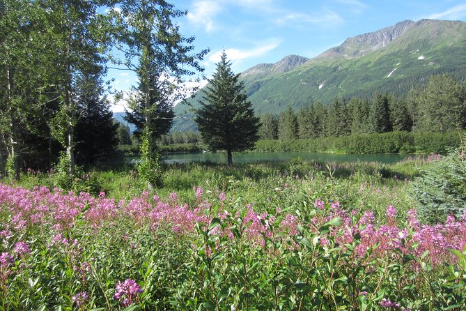 Turnagain Arm Tour: "A Must See Destination" - Tour Highlights