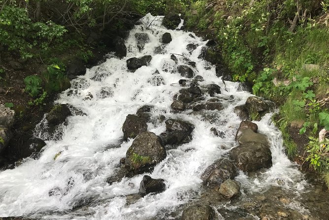 Turnagain Arm Tour: "A Must See Destination" - Meeting and Pickup Details