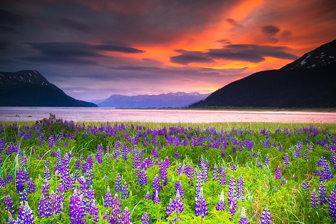 Turnagain Arm Tour - Traveler Photos