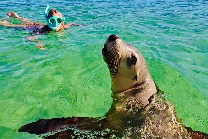 Turquoise Coast and Pinnacles Desert Private day Tour from Perth - Good To Know  