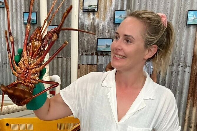 Turquoise Coast and Pinnacles Desert Private day Tour from Perth - The Experience in Detail