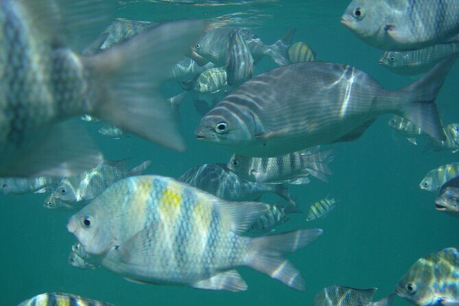 Turtle and Shipwreck adventure on 57 ft catamaran - The Itinerary in Detail