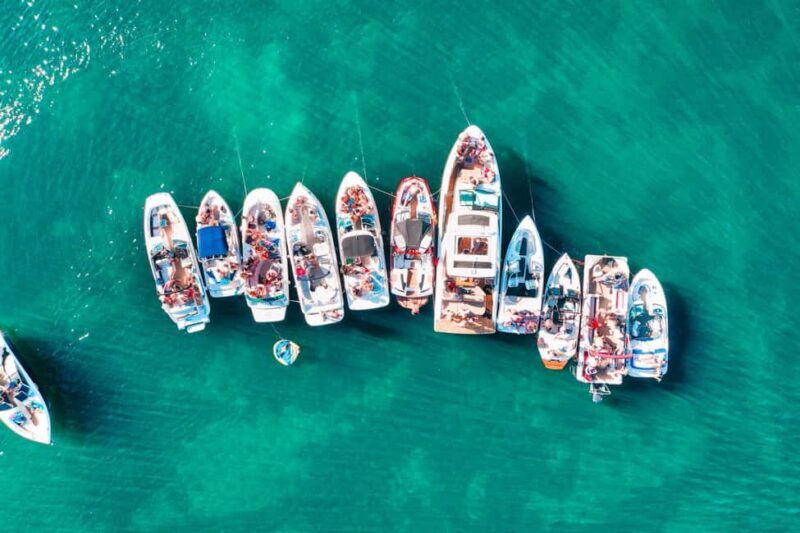 TURTLE BOAT TOUR - Good To Know