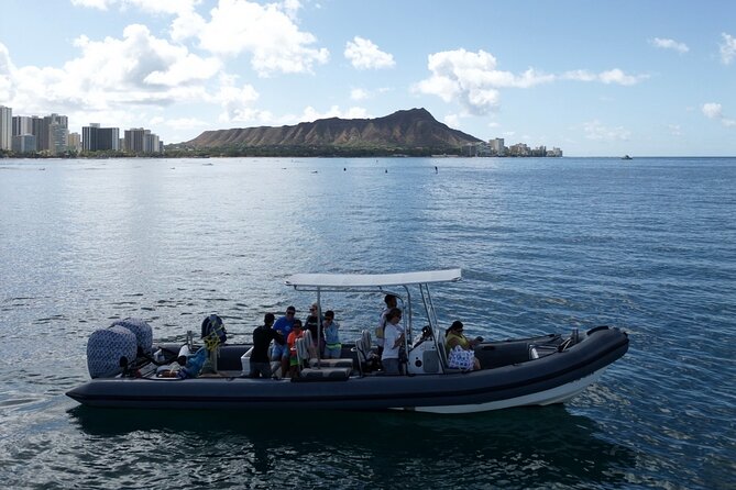 Turtle Canyon Snorkel (Semi Private Boat Tours) - Positive Customer Reviews