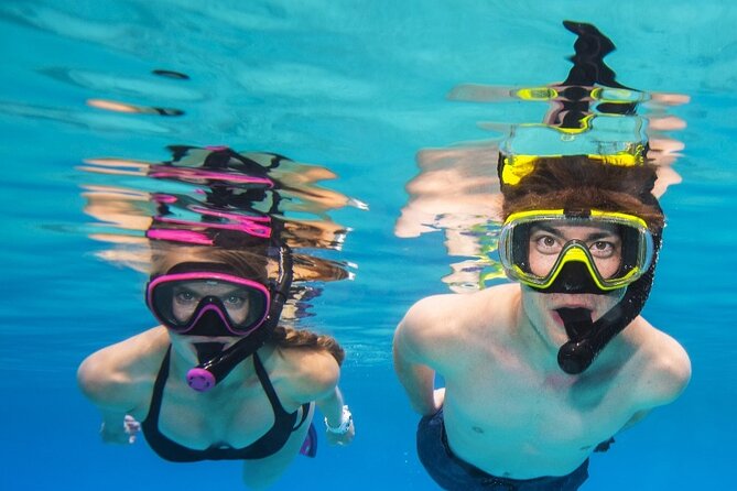 Turtle Canyon Waikiki Snorkel Adventure - Swim and Snorkel in Turtle Canyon