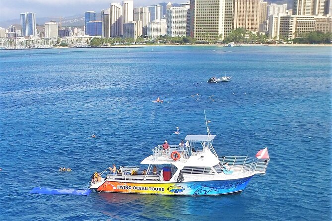 Turtle Canyons Snorkel Excursion From Waikiki, Hawaii - Meeting and Pickup