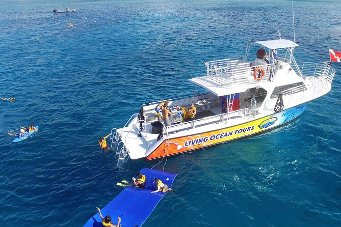 Turtle Canyons Snorkel Excursion From Waikiki, Hawaii - What to Expect