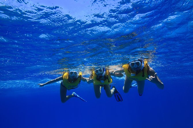Turtle Canyons Snorkel Excursion From Waikiki, Hawaii - Positive Customer Reviews