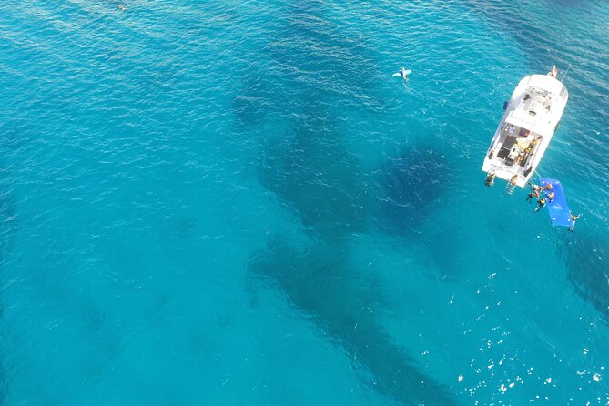 Turtle Canyons Snorkel Excursion From Waikiki, Hawaii - The Sum Up