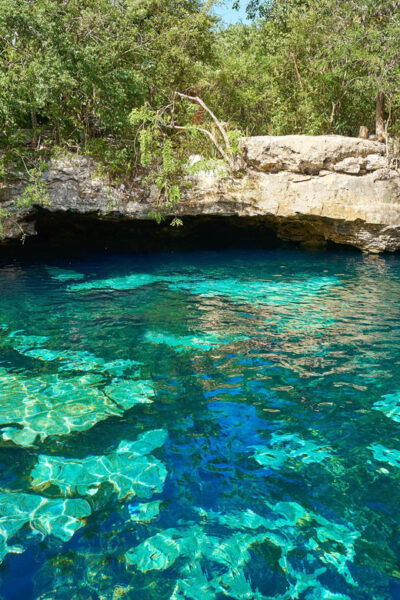 Turtle & Cenote Express (Included Transportation) - Exploring the Open Cenote