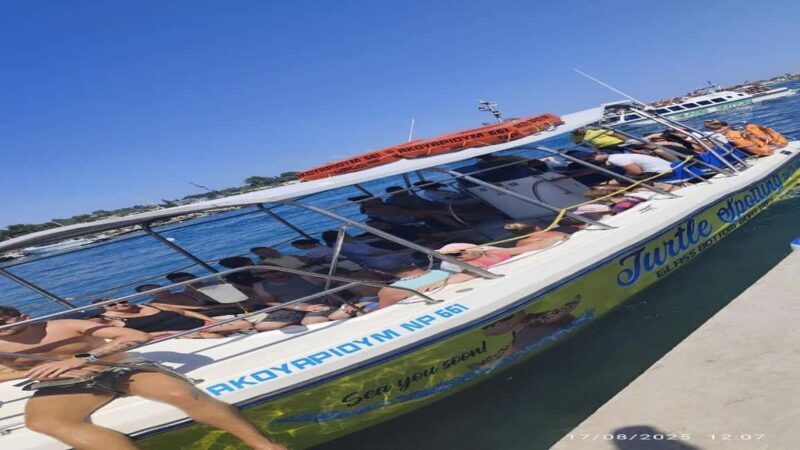 Turtle Cruise from 9 am or 12 noon or 3 pm for 3 hours - Discovering the Turtle Cruise Experience in Zakynthos