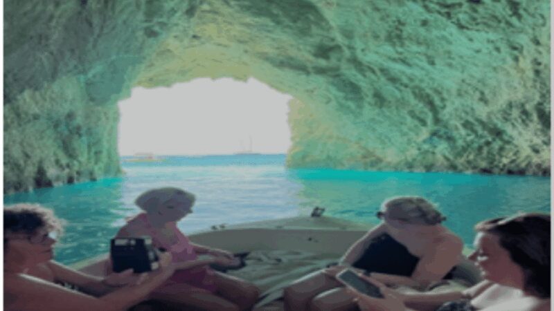 Turtle Cruise from 9 am or 12 noon or 3 pm for 3 hours - Good To Know