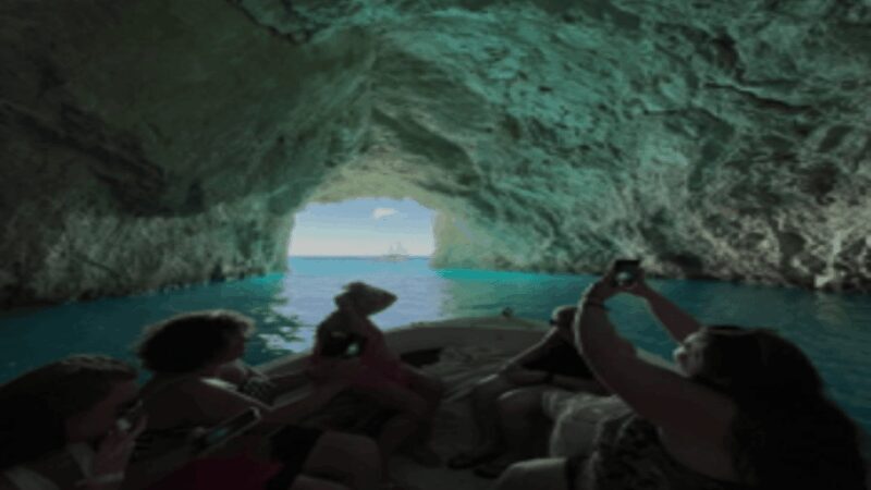 Turtle Cruise from 9 am or 12 noon or 3 pm for 3 hours - The Value of a 3-Hour Sea Adventure