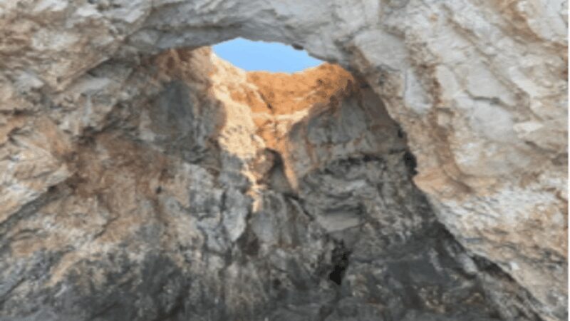 Turtle Cruise from 9 am or 12 noon or 3 pm for 3 hours - Final Thoughts: Is It Worth It?