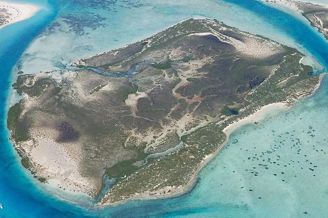 Turtle Eco Tour on Stand-Up Paddleboards or Kayaks Into the National Marine Park - Common Questions