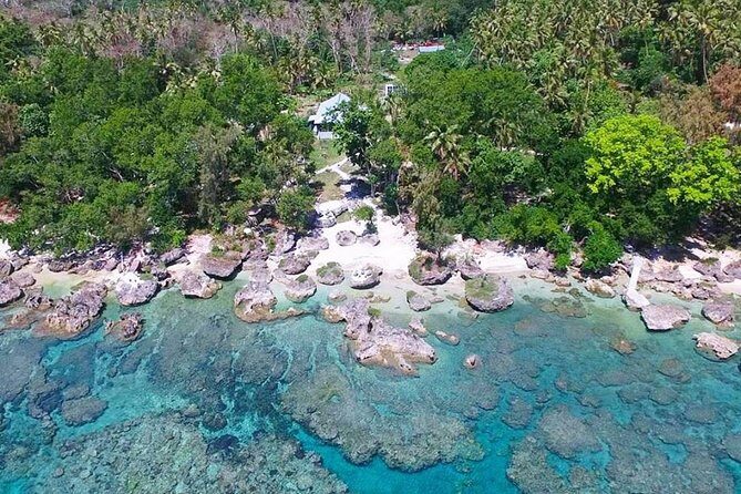 Turtle Encounter with Yumi Tours - FAQ (Frequently Asked Questions)