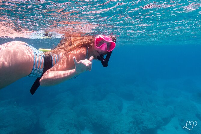 Turtle Gardens West Maui Snorkel Tour - Tour Details