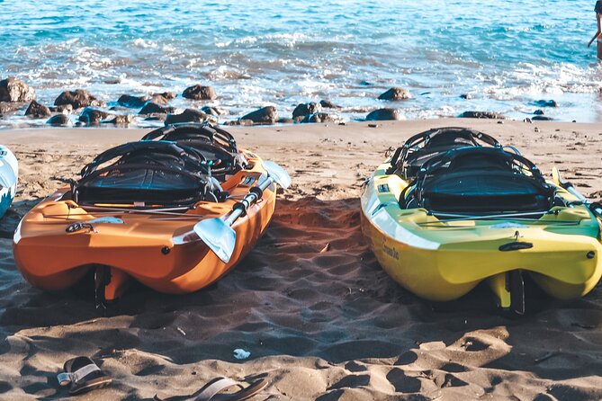 Turtle Gardens West Maui Snorkel Tour - Additional Information