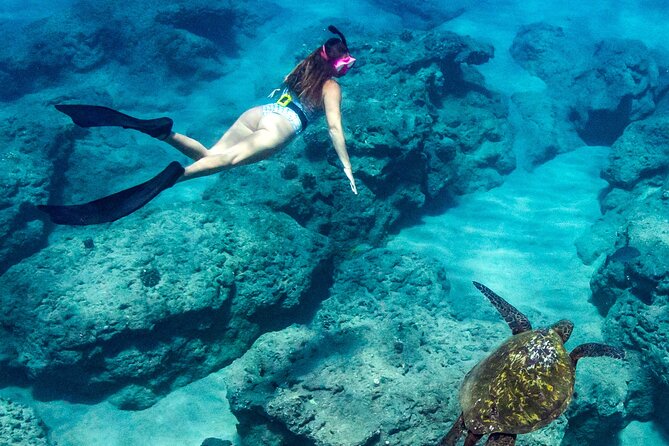 Turtle Gardens West Maui Snorkel Tour - The Sum Up