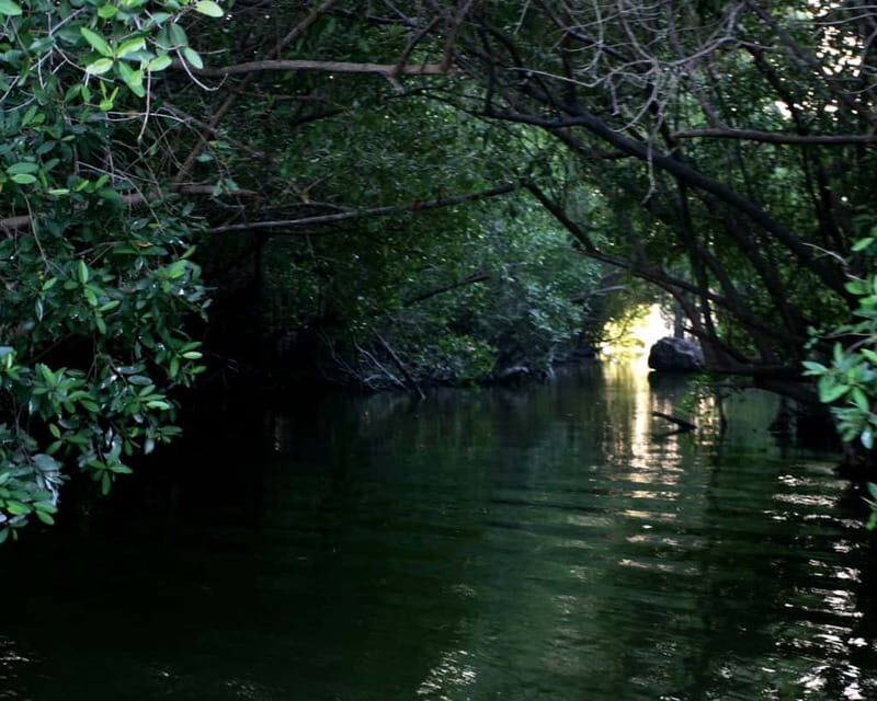 *Turtle Hatching + 3 Palos Lagoon Boat Ride & Crocs Farm - Frequently Asked Questions  